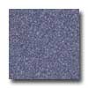 Mannington Mannington Biospec Grape Vinyl Flooring