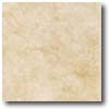 Daltile Daltile Scabos 18 X 18 Walnut Tile  &  Stone