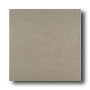 American Olean American Olean Terra Paver Unpolished 8 X 8 Pepper Granite Tile