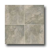 Mohawk Mohawk Paradiso 13 X 13 Grecian Tile  &  Stone