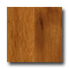 Scandian Wood Floors Scandian Wood Floors Bonita Gold 3 1 / 4 Tigerwood Hardwood Floori