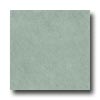 Cerim Ceramiche Cerim Ceramiche Silverstone 20 X 20 Military Green Tile  &  Stone