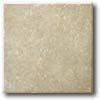 Daltile Daltile Village Bend 6 X 6 Olive Tile  &  Stone