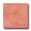 Tesoro Tesoro Intinta Ciliegia Tile  &  Stone