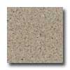 Santa Regina Santa Regina Architectural 24 X 24 (antique) Sand Dollar Terrazz