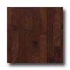 Robbins Robbins Urban Exotics Collection Plank Beech 3 1 / 4 Sierra Hardwo