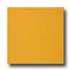 Marazzi Marazzi I Colori 12 X 12 Yellow Tile  &  Stone