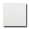 Caribe Stone Caribe Stone Greek Marble Thassos White Tile  &  Stone