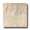 Cerim Ceramiche Cerim Ceramiche Stone Age 7 X 7 Quarzite Tile  &  Stone
