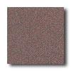 Crossville Crossville Cross-colors A 12 X 12 Polished Burgundy Smoke Tile  &