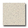 Armstrong Armstrong Excelon Stonetex Premium Desert Dust Vinyl Flooring