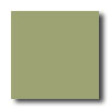 American Olean American Olean Satinglo Mosaic Satin Olive Tile  &  Stone