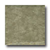 Portobello Portobello Rainforest 3 X 3 Amazon Tile  &  Stone