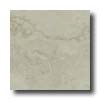 Bella Cera Bella Cera Renaissance 13 X 13 Cream Tile  &  Stone