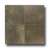 American Olean American Olean Metroplex 13 X 19 Patina Tile  &  Stone