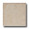 Cerdomus Cerdomus Durango 6 X 6 Beige Tile  &  Stone