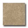 Armstrong Armstrong Colestone 16 X 16 Colestone Soft Brown Tile  &  Stone