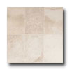 American Olean American Olean Costa Rei 10 X 14 Pietre Bianca Tile  &  Stone
