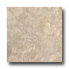 Laufen Laufen Aspen 6 X 6 Camel Tile  &  Stone