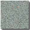 Armstrong Armstrong Safeguard Design Slip-retardant Emerald Vinyl Flooring