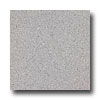 Armstrong Armstrong Medintech Homogeneous Liatris Cool Gray Vinyl Flooring