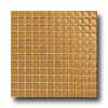 Daltile Daltile Maracas Glass Mosaics - Glossy Evening Sun Tile  &  Stone