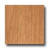 Alloc Alloc Original Natural Red Oak Laminate Flooring