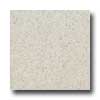 Santa Regina Santa Regina Designer 24 X 24 (antique) Persian Cream Terrazzo T