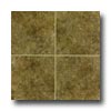 Mohawk Mohawk Bella Rocca 18 X 18 Tuscan Brown Tile  &  Stone