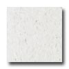 Mannington Mannington Essentials Cool White Vinyl Flooring