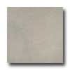 Italgres Italgres Vulcano 18 X 27 Perla Tile  &  Stone