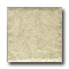 Portobello Portobello Rainforest 3 X 3 Gardenia Tile  &  Stone