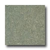 Armstrong Armstrong Marmorette With Naturcote Aleutian Green Vinyl Floorin