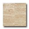 Daltile Daltile Travertine Natural Stone Polished 12 X12 Roman Travertin