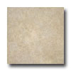 Tarkett Tarkett Personal Expressions - Formations Classic Taupe Vinyl Fl