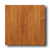 Teragren Teragren Studio Horizontal Caramelized Bamboo Flooring