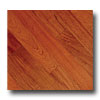 Johnson Johnson Distressed Brazilian Cherry Jatoba Hardwood Flooring