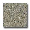 Santa Regina Santa Regina Architectural 16 X 16 (natural) Evergreen Terrazzo
