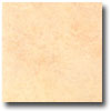 Mohawk Mohawk Borghesi 10 X 13 Bianco Tile  &  Stone