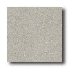Mannington Mannington Biospec Taupestone Vinyl Flooring