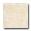 Armstrong Armstrong Tusk 12 X 12 Tusk Sand Tile  &  Stone