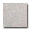 Earth Werks Earth Werks Venetian Stone 2202 Vinyl Flooring