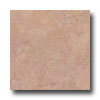 Nafco Nafco Elements 9 X 9 Tuscan Brown Vinyl Flooring