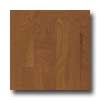 Harris-Tarkett Harris-tarkett Amherst Beveled 5 American Cherry Sagebrush Hardw