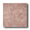Eliane Eliane Niagra 12 X 12 Terra Tile  &  Stone
