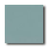 Crossville Crossville Cross-colors C 12 X 12 Polished Bayberry Tile  &  Stone