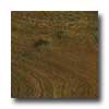 Pergo Pergo World Traveler 3.5 Ironwood Laminate Flooring