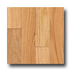Hartco Hartco Oneida Plank 3 1 / 4 Standard Hardwood Flooring