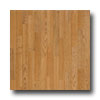 Tarkett Tarkett Contours - Laredo Oak Cocoa Vinyl Flooring
