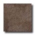 Armstrong Slate 13 X 13 Brown Tile & Stone